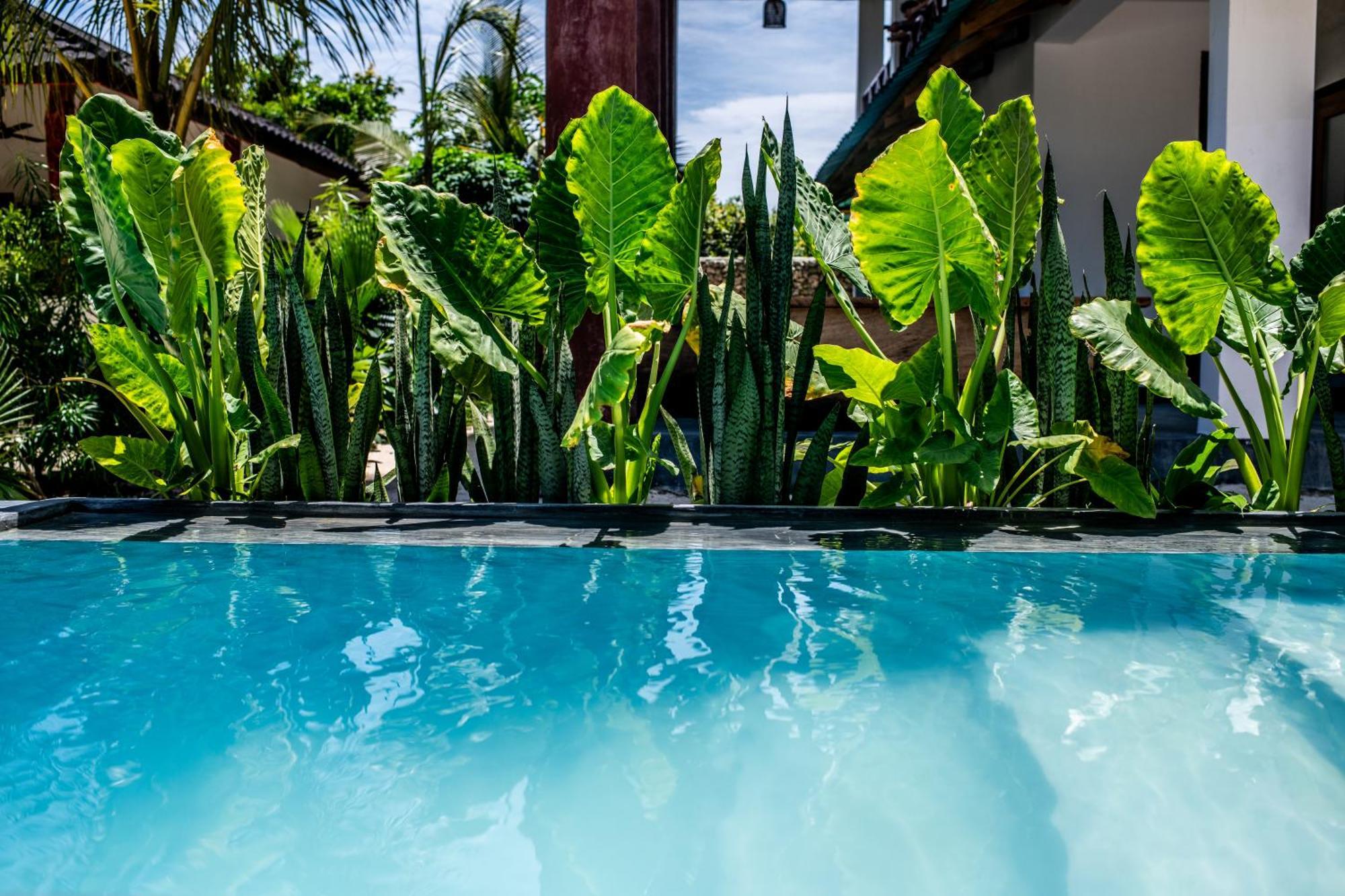 Baobab Bungalows Jambiani  Esterno foto