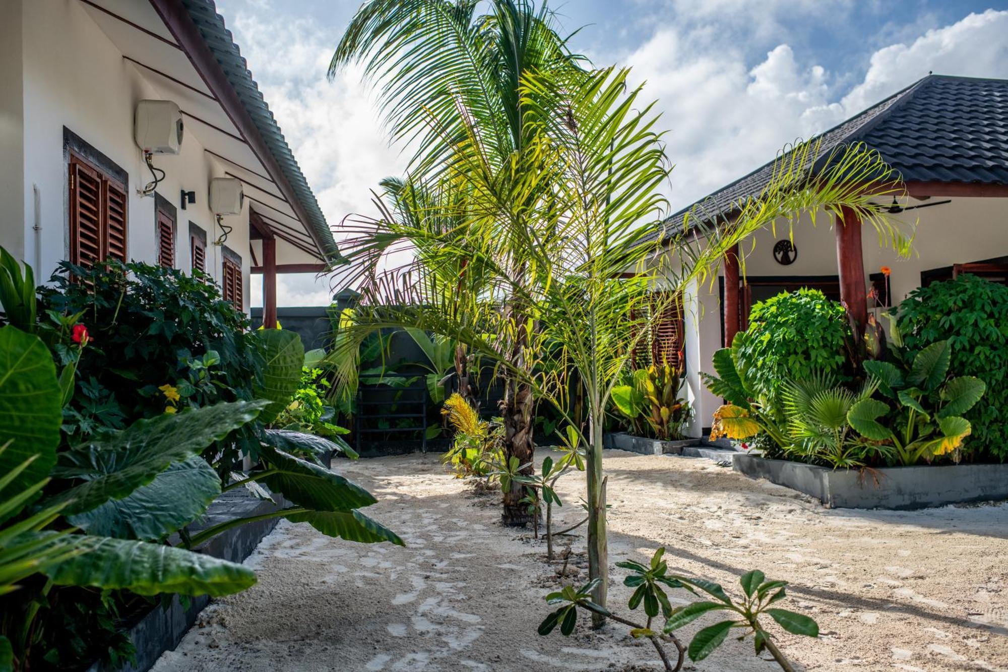 Baobab Bungalows Jambiani  Esterno foto