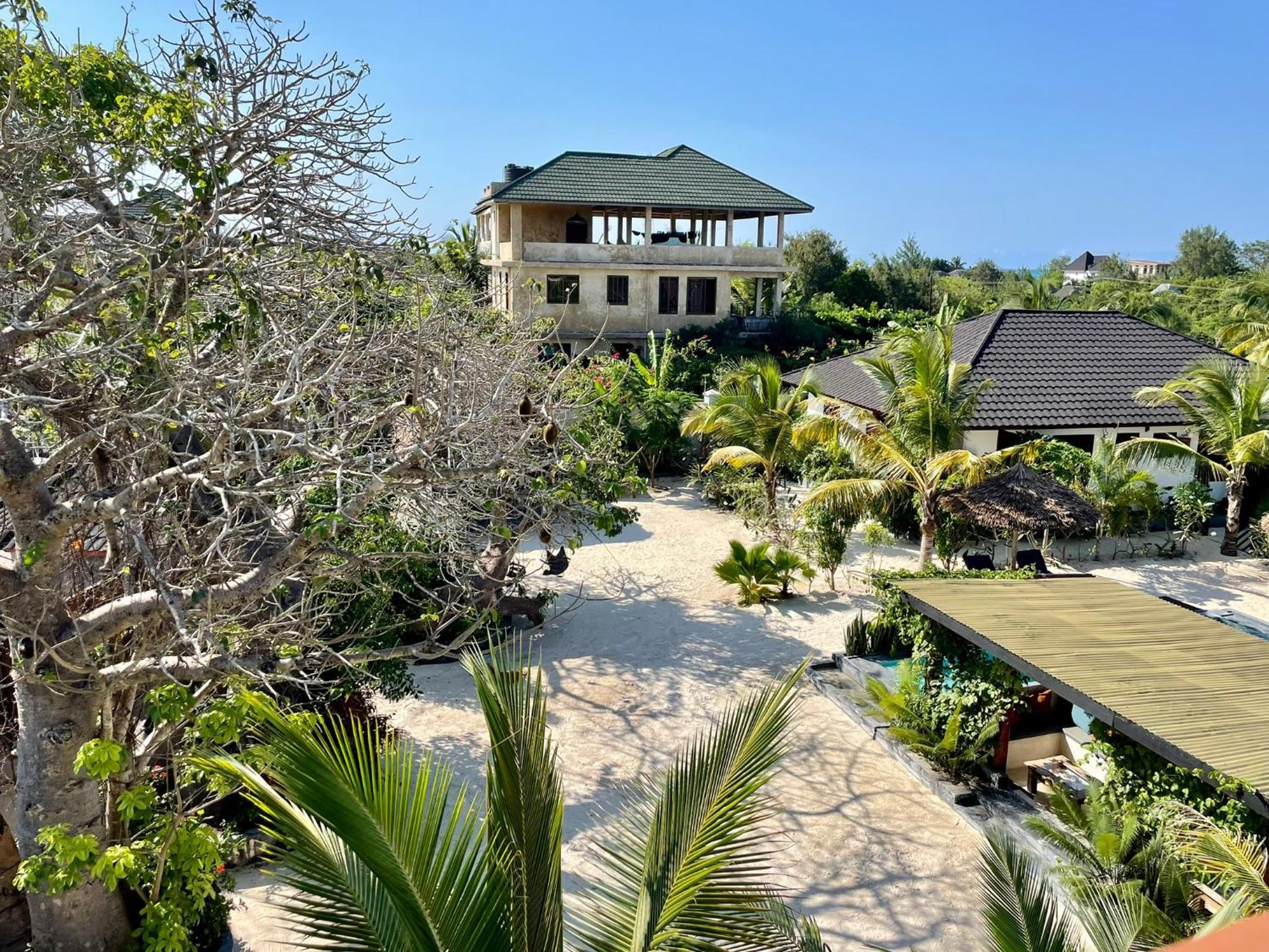 Baobab Bungalows Jambiani  Esterno foto