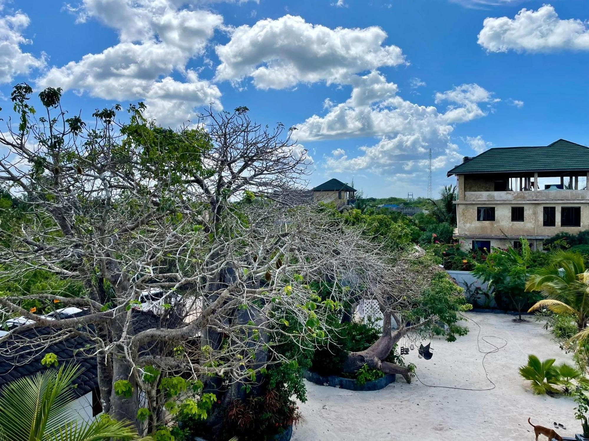 Baobab Bungalows Jambiani  Esterno foto